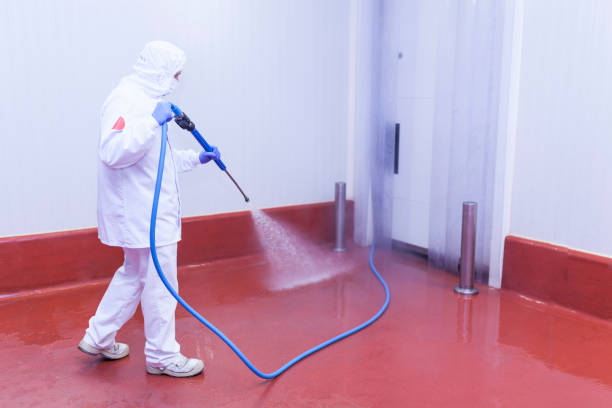 Best Vinyl Siding Pressure Washing in North Riverside, IL
