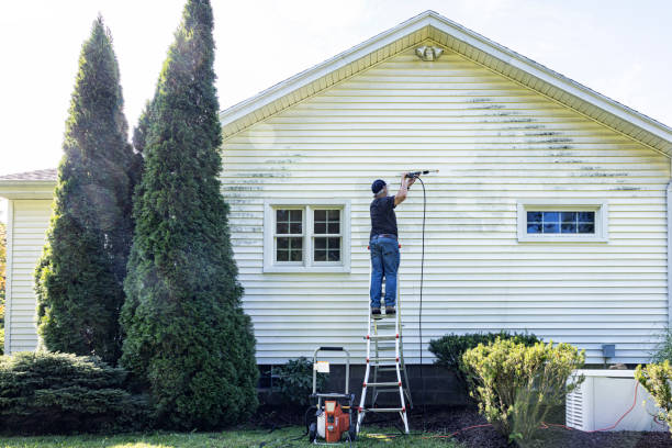 Best Gutter Cleaning and Brightening in North Riverside, IL
